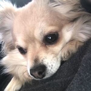 Meet your Posher, Jeanette